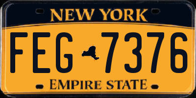 NY license plate FEG7376