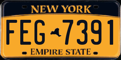 NY license plate FEG7391
