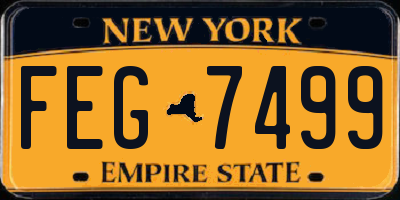 NY license plate FEG7499