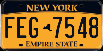 NY license plate FEG7548