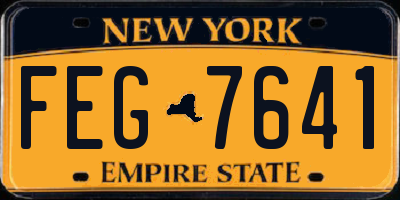 NY license plate FEG7641