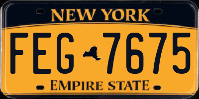 NY license plate FEG7675