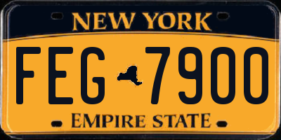 NY license plate FEG7900