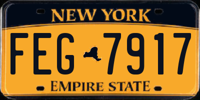 NY license plate FEG7917