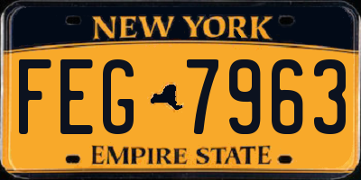 NY license plate FEG7963