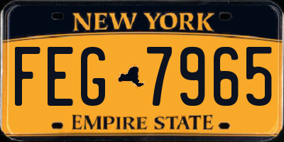 NY license plate FEG7965