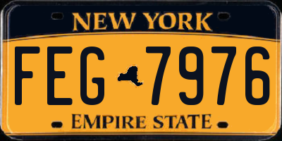 NY license plate FEG7976