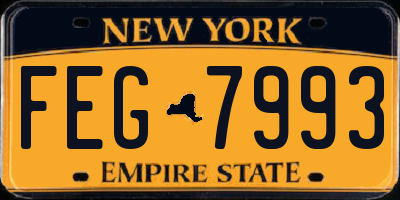 NY license plate FEG7993