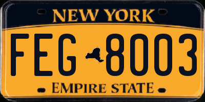 NY license plate FEG8003