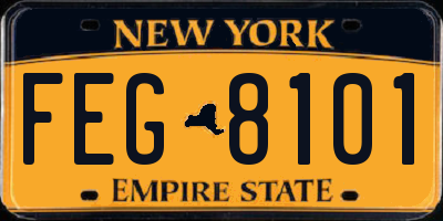 NY license plate FEG8101