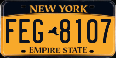 NY license plate FEG8107