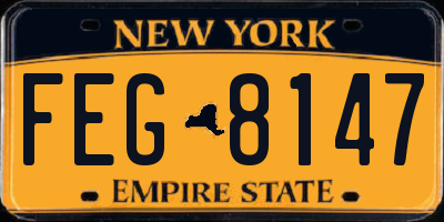 NY license plate FEG8147