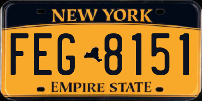 NY license plate FEG8151