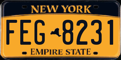 NY license plate FEG8231