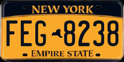 NY license plate FEG8238