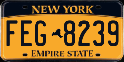 NY license plate FEG8239