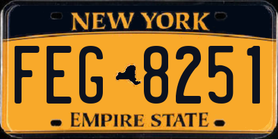 NY license plate FEG8251