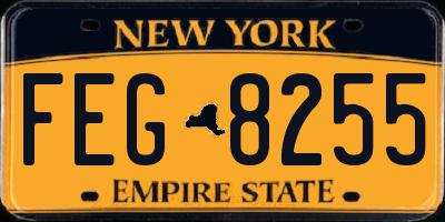 NY license plate FEG8255