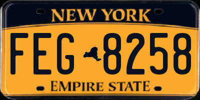 NY license plate FEG8258