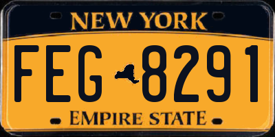 NY license plate FEG8291