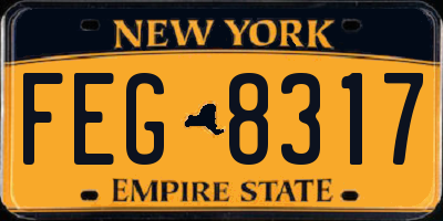 NY license plate FEG8317