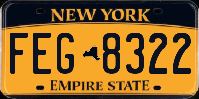 NY license plate FEG8322
