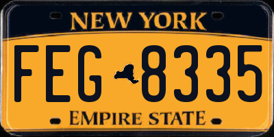 NY license plate FEG8335