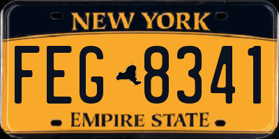 NY license plate FEG8341