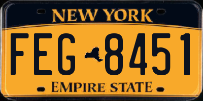 NY license plate FEG8451