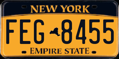 NY license plate FEG8455