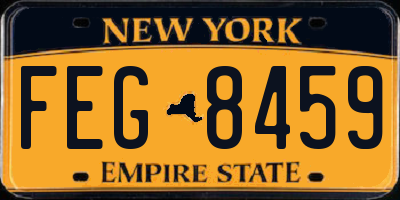 NY license plate FEG8459