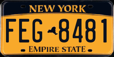 NY license plate FEG8481