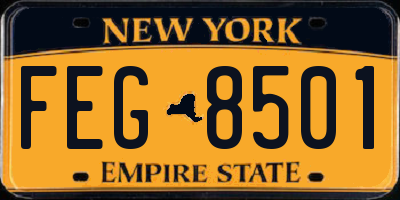 NY license plate FEG8501