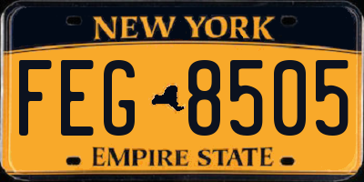 NY license plate FEG8505