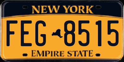 NY license plate FEG8515