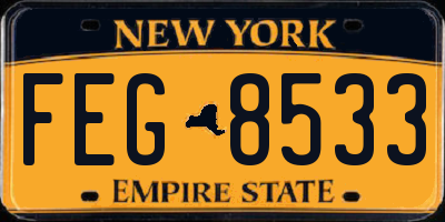 NY license plate FEG8533