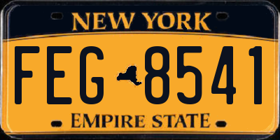 NY license plate FEG8541
