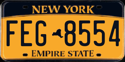 NY license plate FEG8554