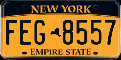 NY license plate FEG8557