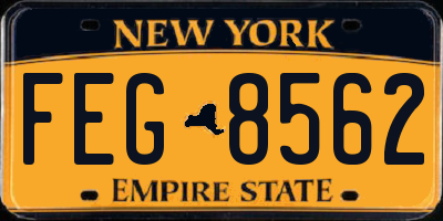 NY license plate FEG8562