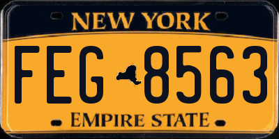 NY license plate FEG8563
