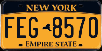 NY license plate FEG8570