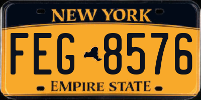 NY license plate FEG8576