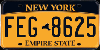 NY license plate FEG8625