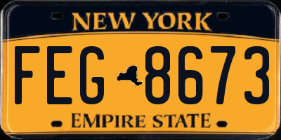 NY license plate FEG8673