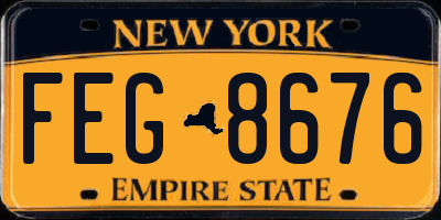 NY license plate FEG8676