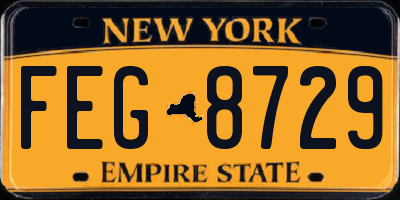 NY license plate FEG8729