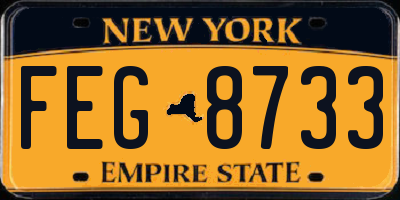 NY license plate FEG8733