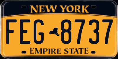 NY license plate FEG8737