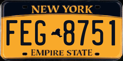 NY license plate FEG8751